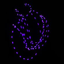 Load image into Gallery viewer, 3-Color Strobe: Purple/Lemon Yellow/Turquoise